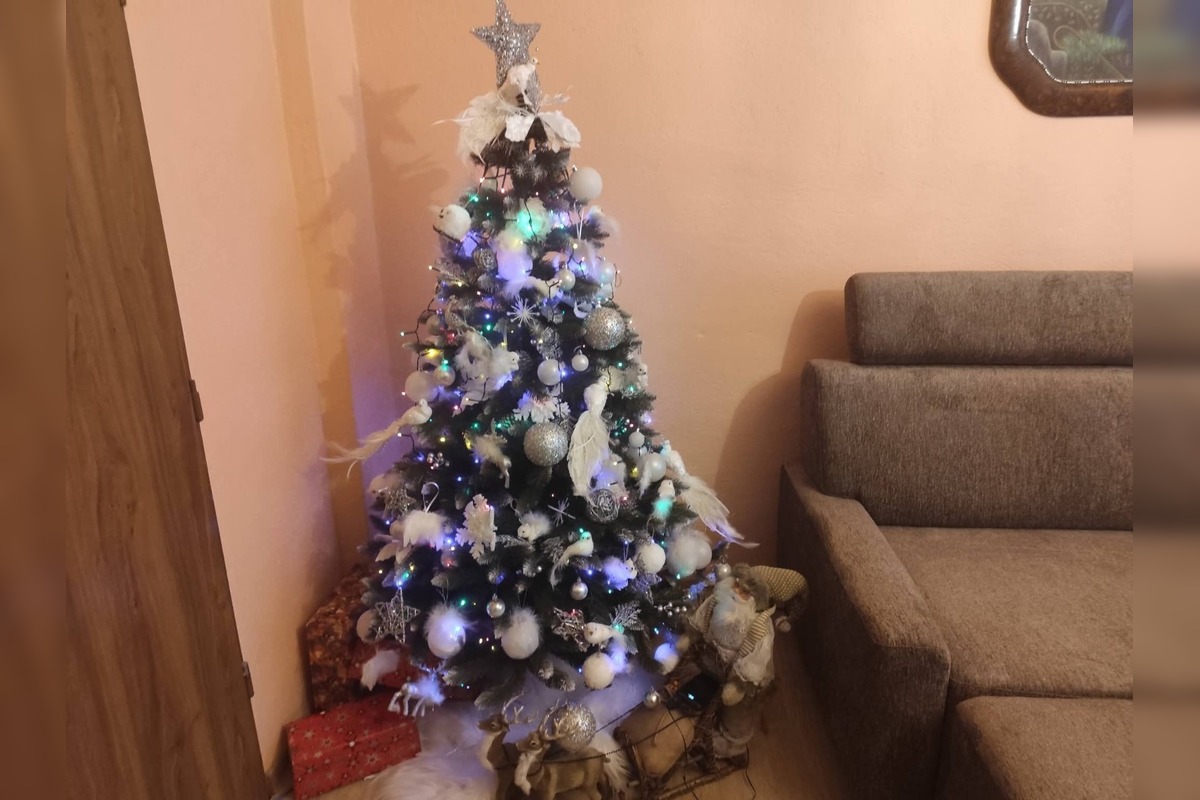 FOTO: Takto vyzerajú vianočné stromčeky našich čitateľov, foto 17