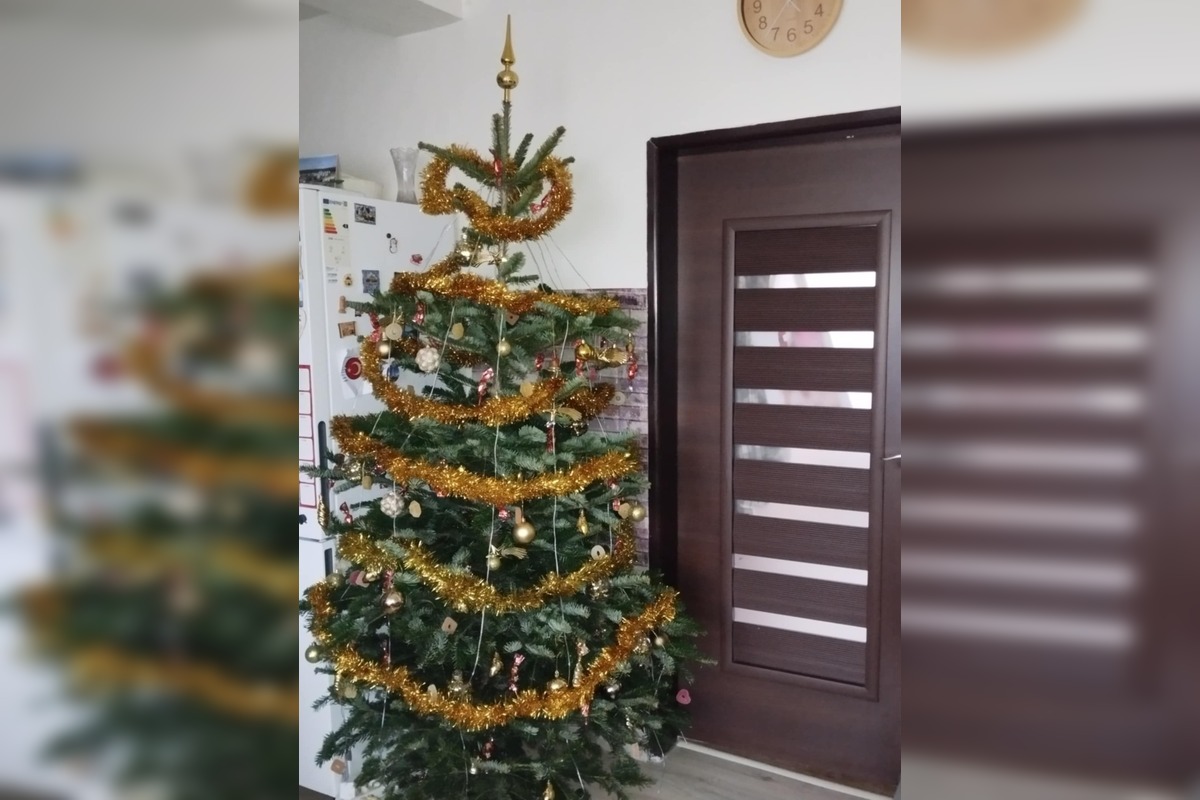 FOTO: Takto vyzerajú vianočné stromčeky našich čitateľov, foto 19