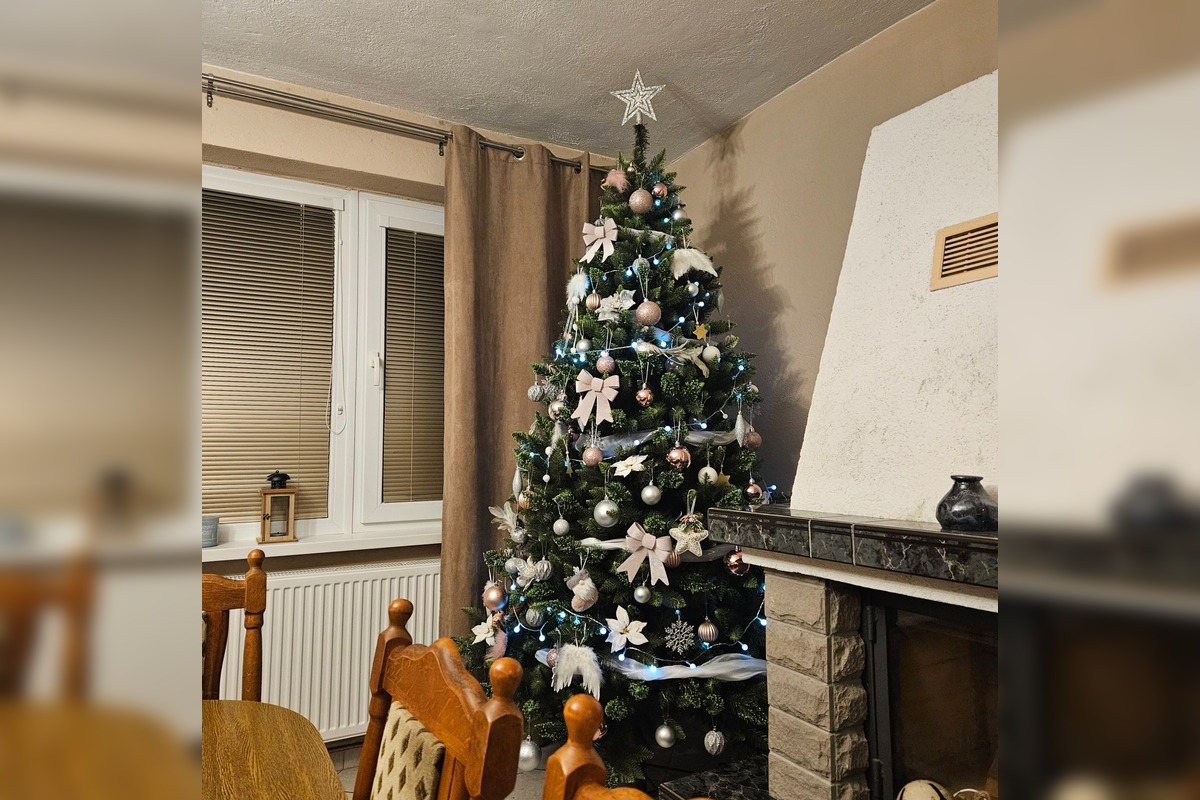 FOTO: Takto vyzerajú vianočné stromčeky našich čitateľov, foto 21