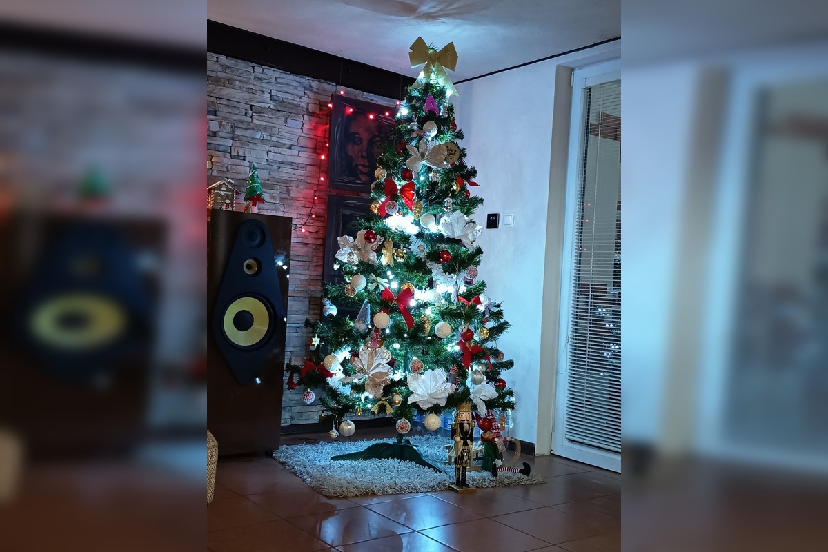 FOTO: Takto vyzerajú vianočné stromčeky našich čitateľov, foto 22