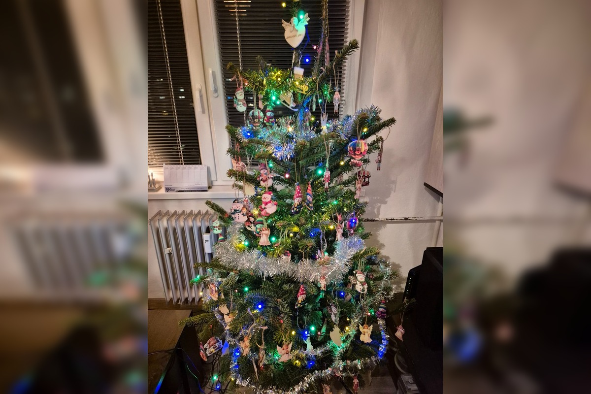 FOTO: Takto vyzerajú vianočné stromčeky našich čitateľov, foto 23