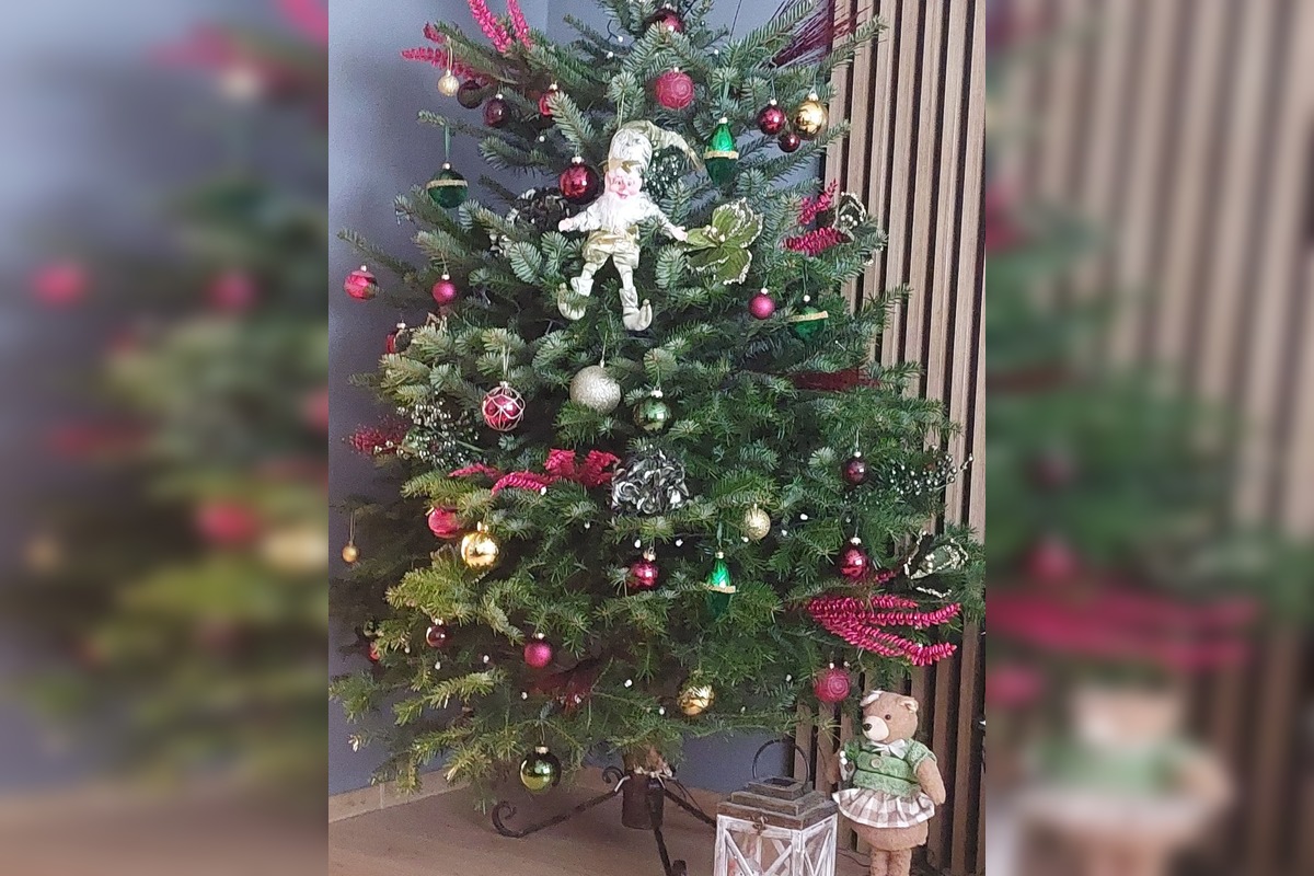 FOTO: Takto vyzerajú vianočné stromčeky našich čitateľov, foto 24