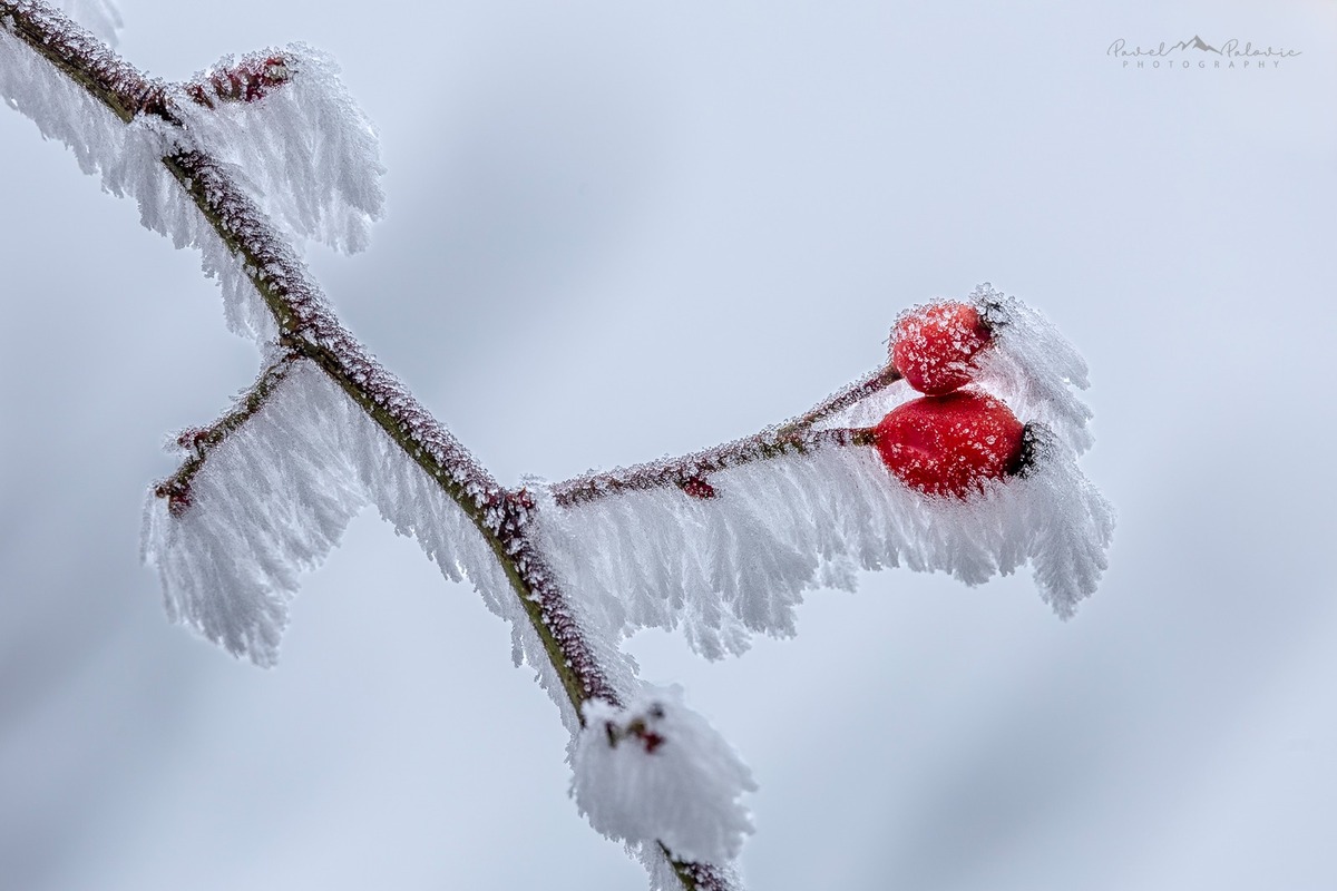 FOTO: Zamrznutá krása Banskej Štiavnice očami fotografa, foto 5