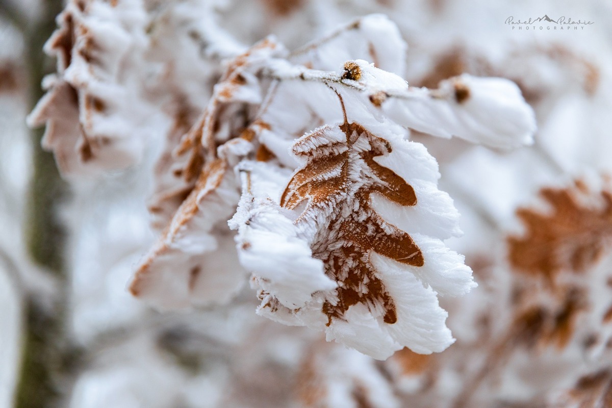 FOTO: Zamrznutá krása Banskej Štiavnice očami fotografa, foto 6