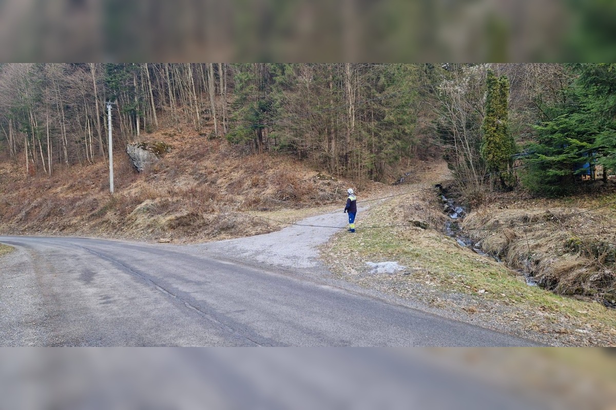 FOTO: Vietor v Tureckej vyvracal stromy, foto 2