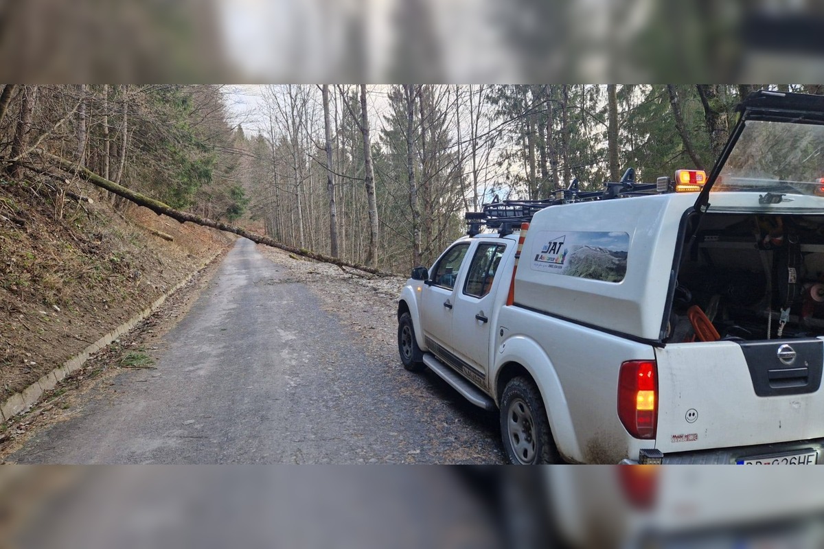 FOTO: Vietor v Tureckej vyvracal stromy, foto 3