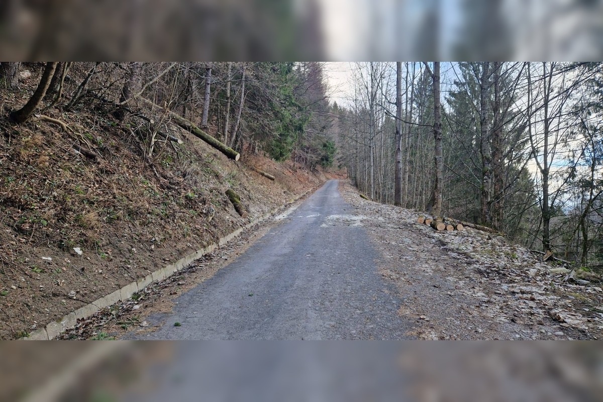 FOTO: Vietor v Tureckej vyvracal stromy, foto 4