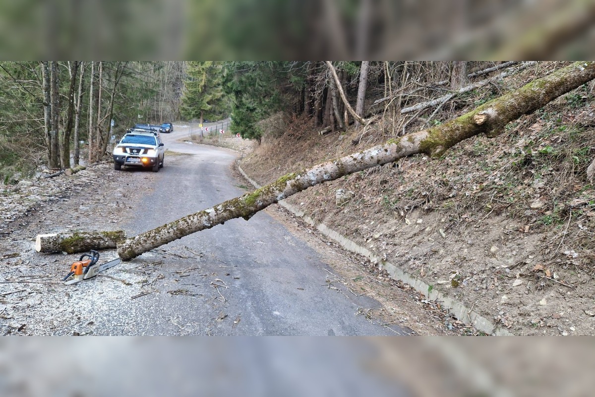 FOTO: Vietor v Tureckej vyvracal stromy, foto 6