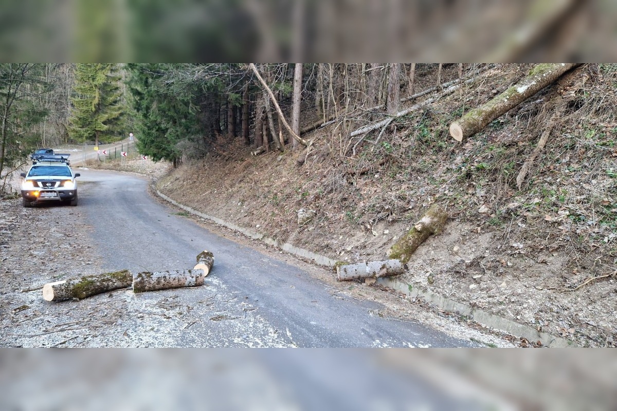 FOTO: Vietor v Tureckej vyvracal stromy, foto 7