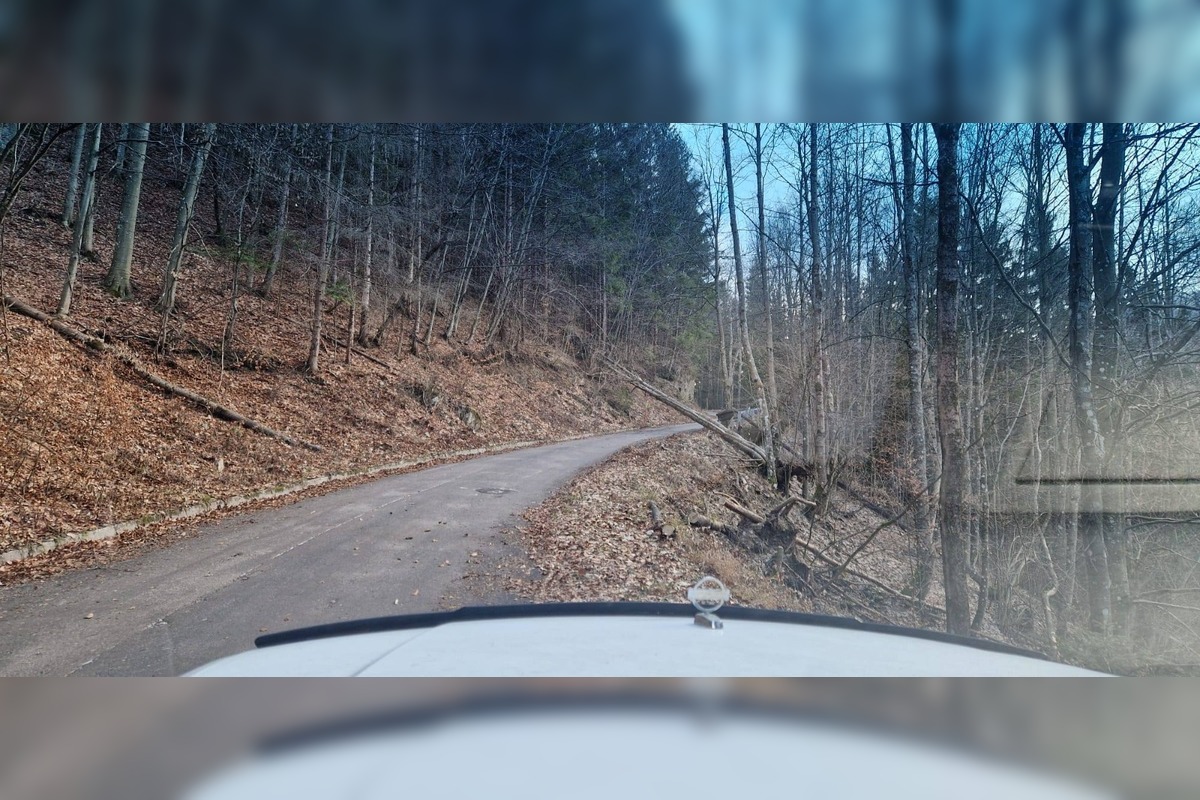 FOTO: Vietor v Tureckej vyvracal stromy, foto 8