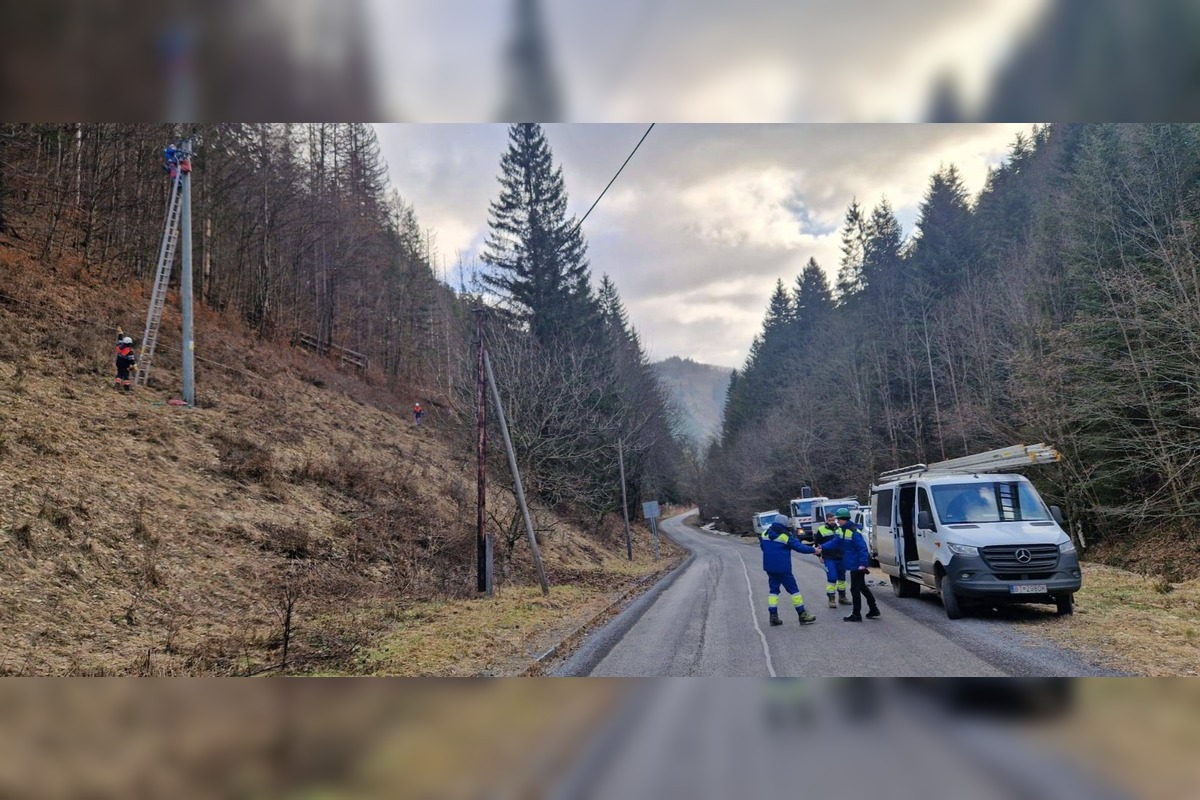 FOTO: Vietor v Tureckej vyvracal stromy, foto 12