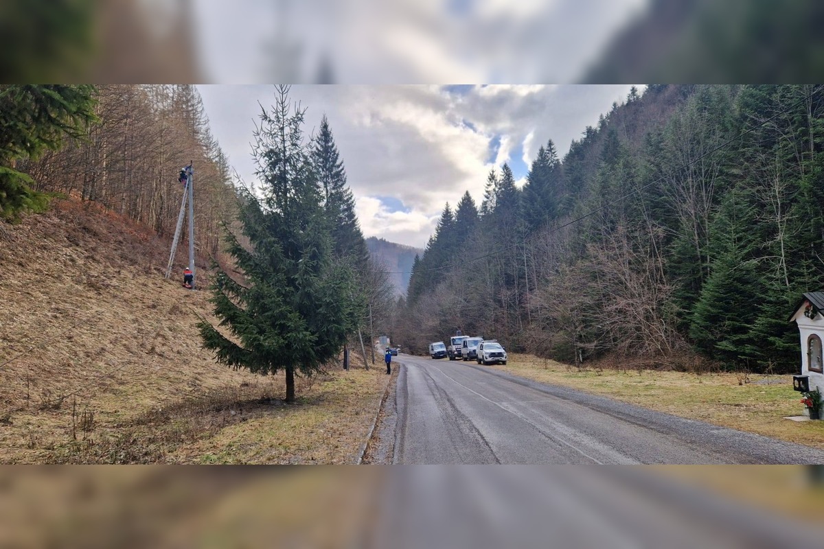 FOTO: Vietor v Tureckej vyvracal stromy, foto 14