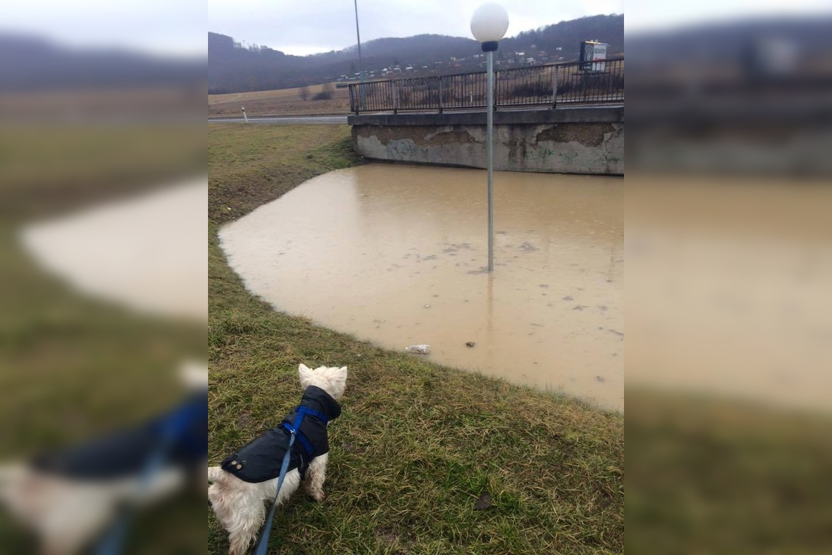 FOTO: S podchodom na Západe je dlhodobý problém, foto 4