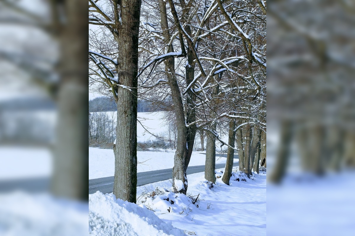 FOTO: Zábery zasneženého Zvolena, foto 9