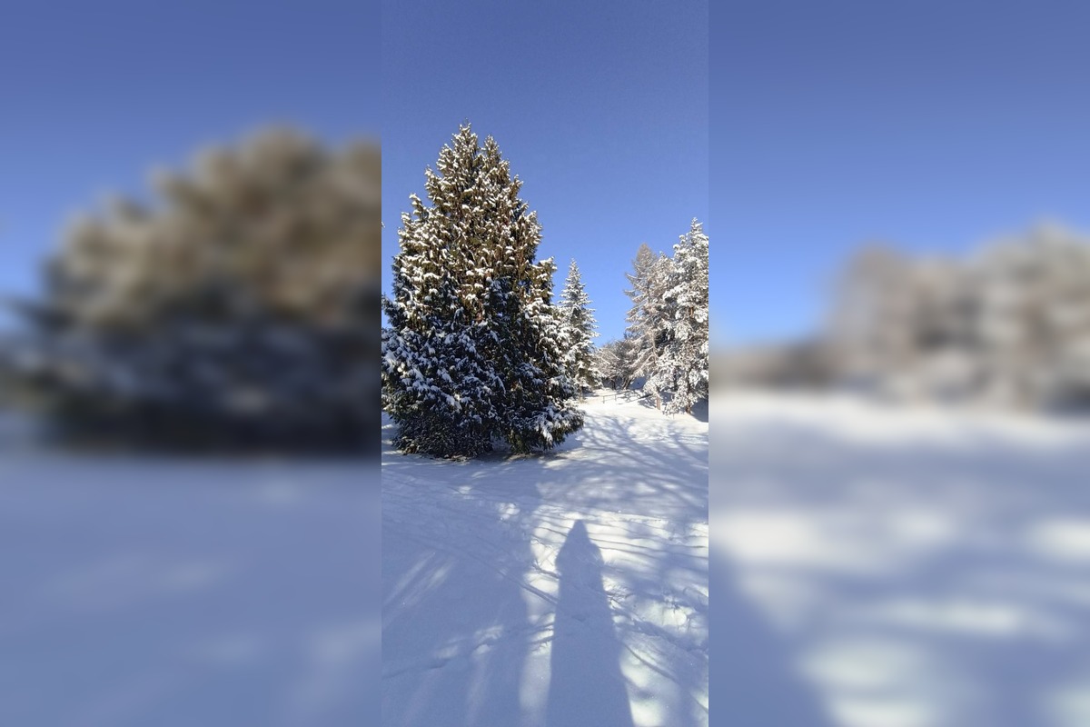 FOTO: Zábery zasneženého Zvolena, foto 11