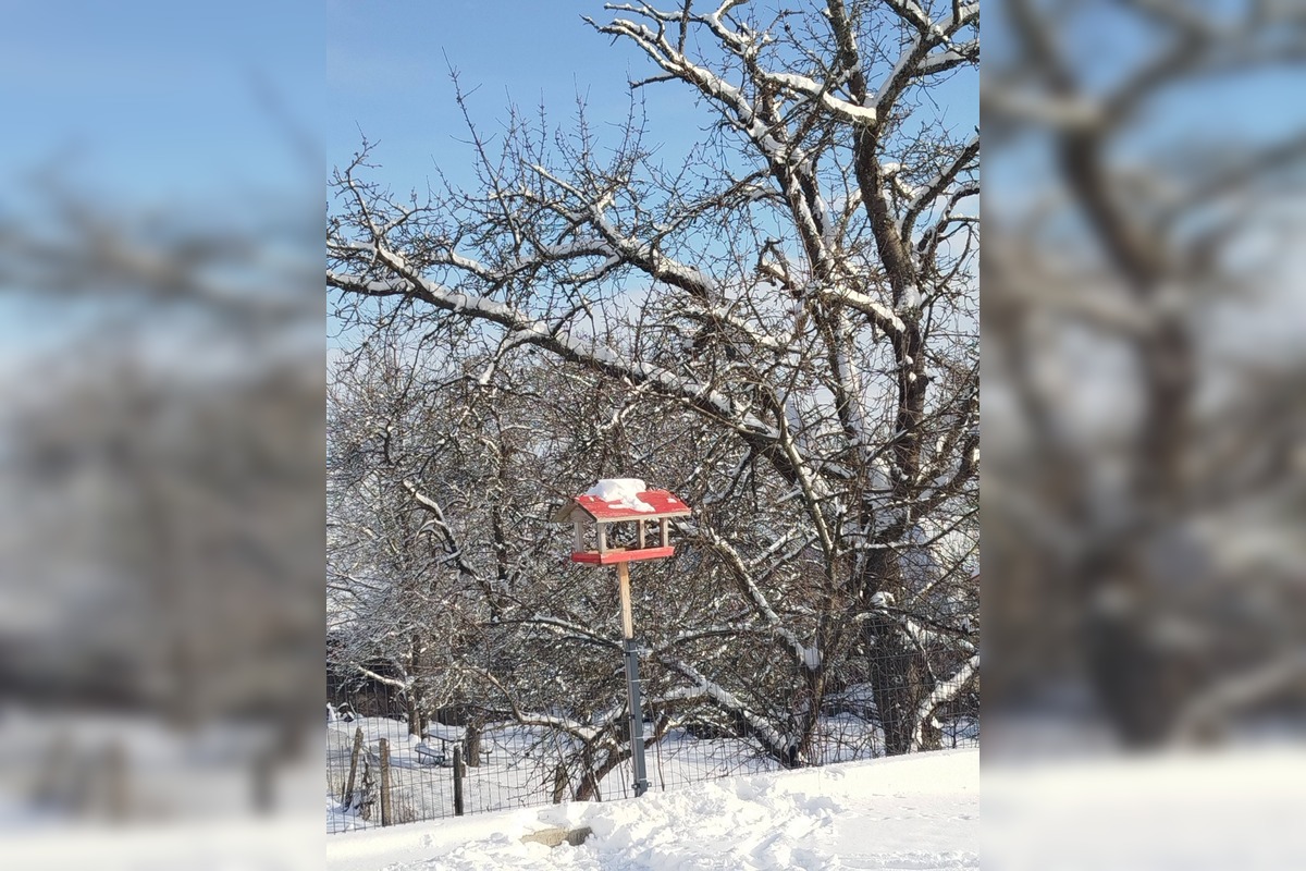 FOTO: Zábery zasneženého Zvolena, foto 15