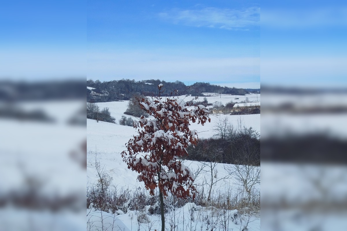 FOTO: Zábery zasneženého Zvolena, foto 19