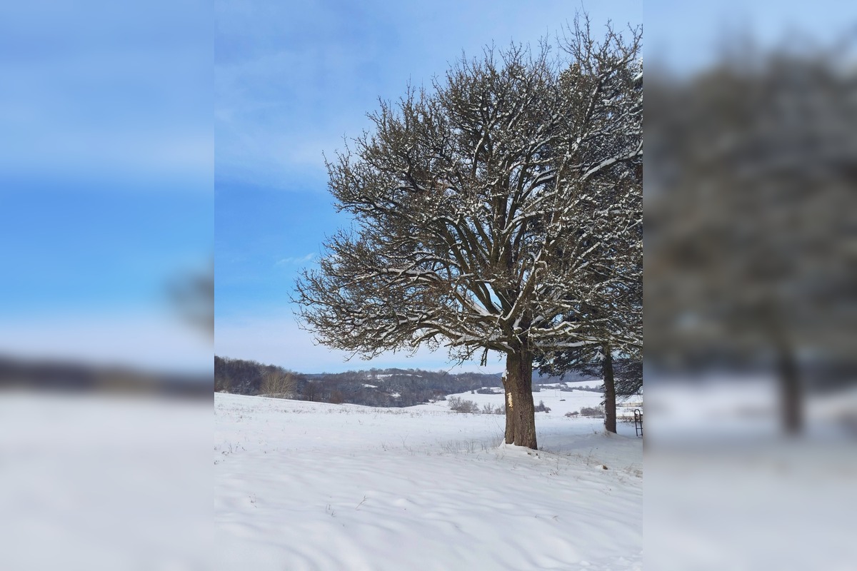 FOTO: Zábery zasneženého Zvolena, foto 25