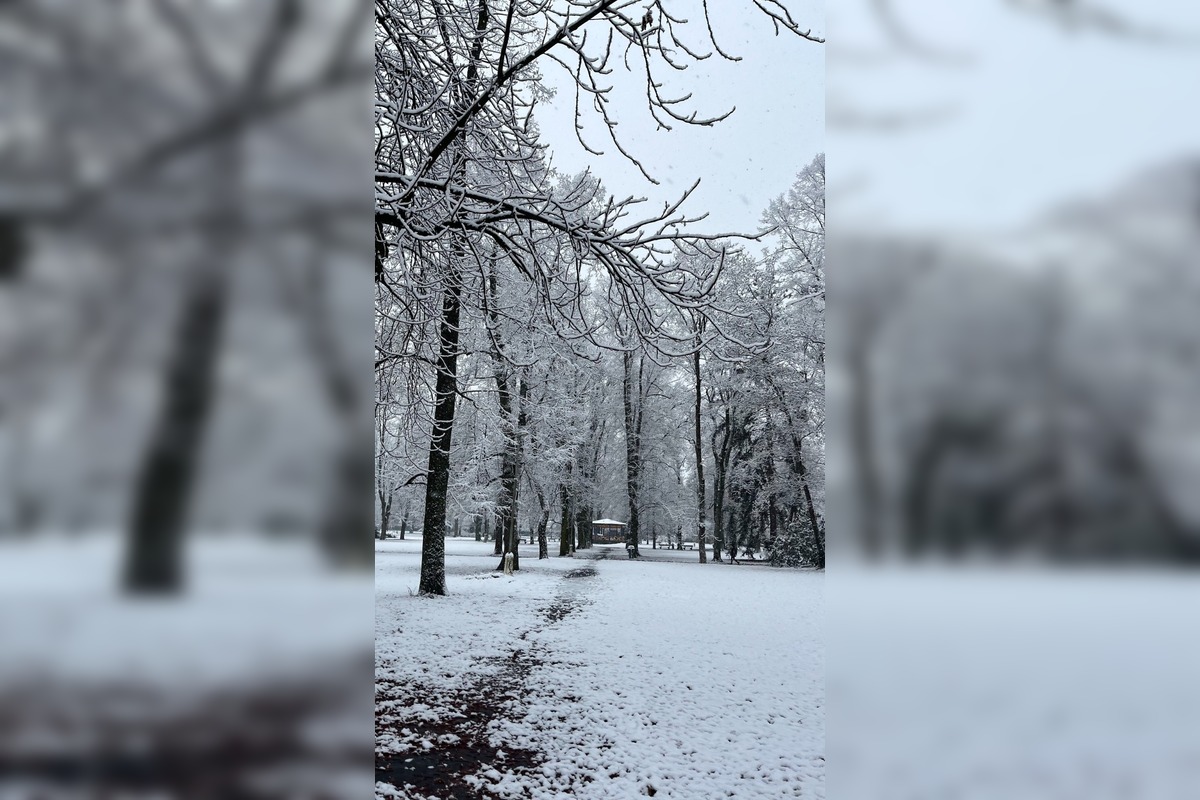 FOTO: Mestský park v Banskej Bystrici, foto 5