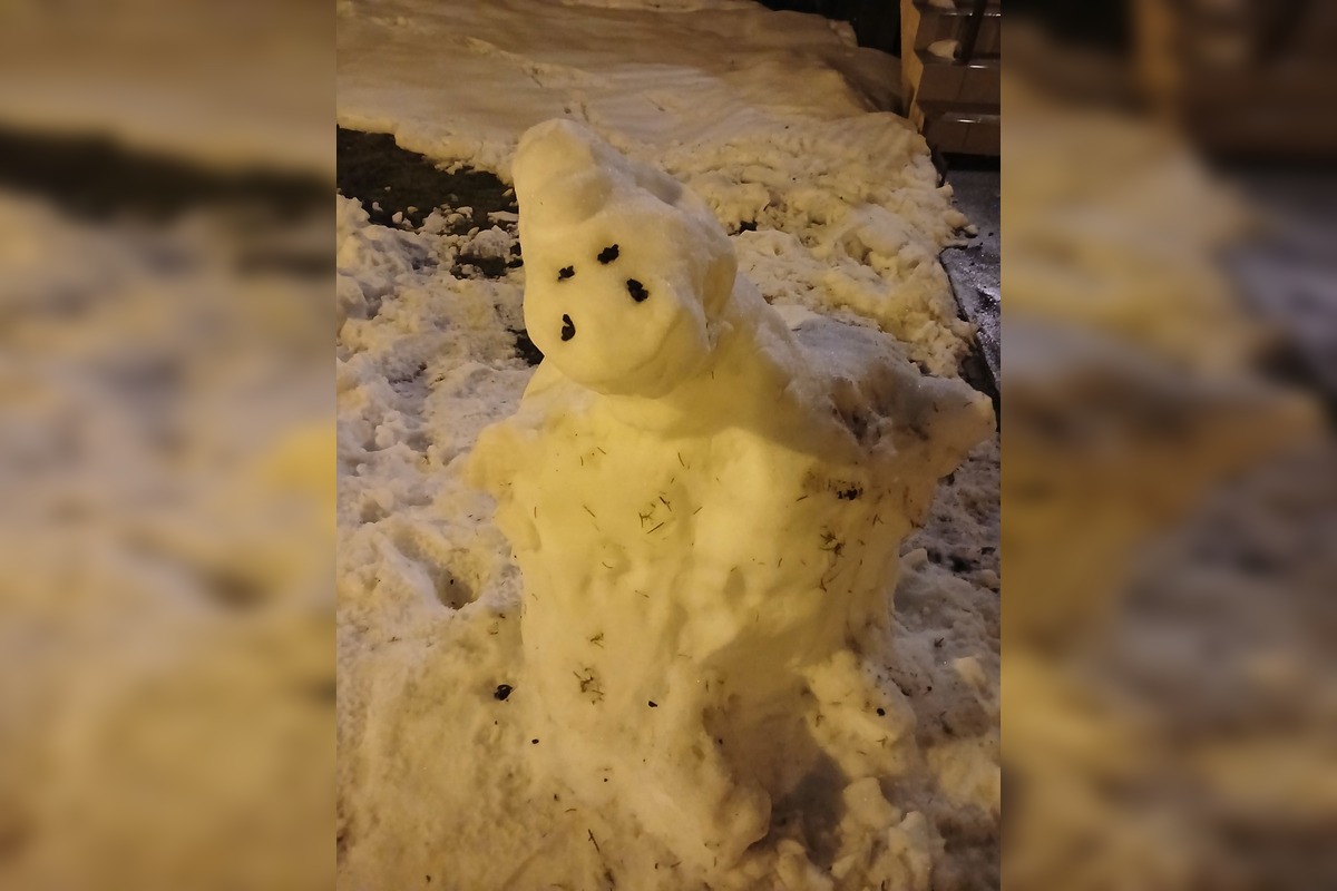 FOTO: Sliač hľadá najlepšieho snehuliaka, foto 5