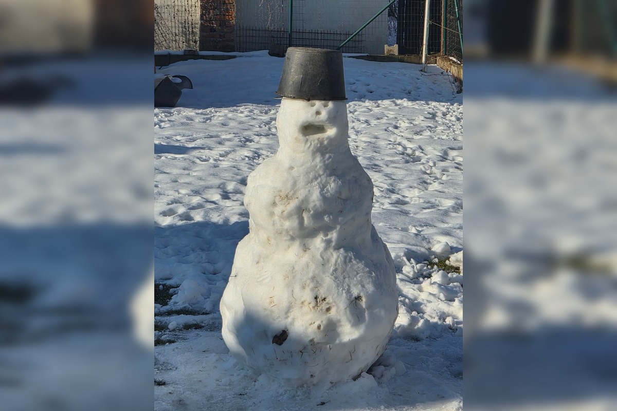 FOTO: Sliač hľadá najlepšieho snehuliaka, foto 8