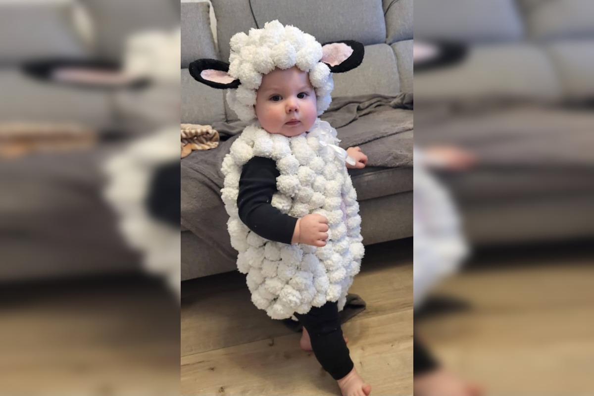 FOTO: Šikovná mamička vytvorila originálny kostým ovečky, foto 1