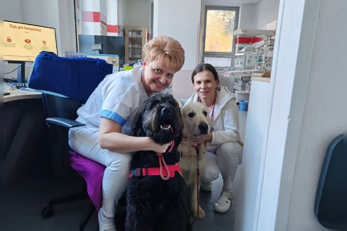 FOTO: Canisterapia vo zvolenskej nemocnici, foto 1