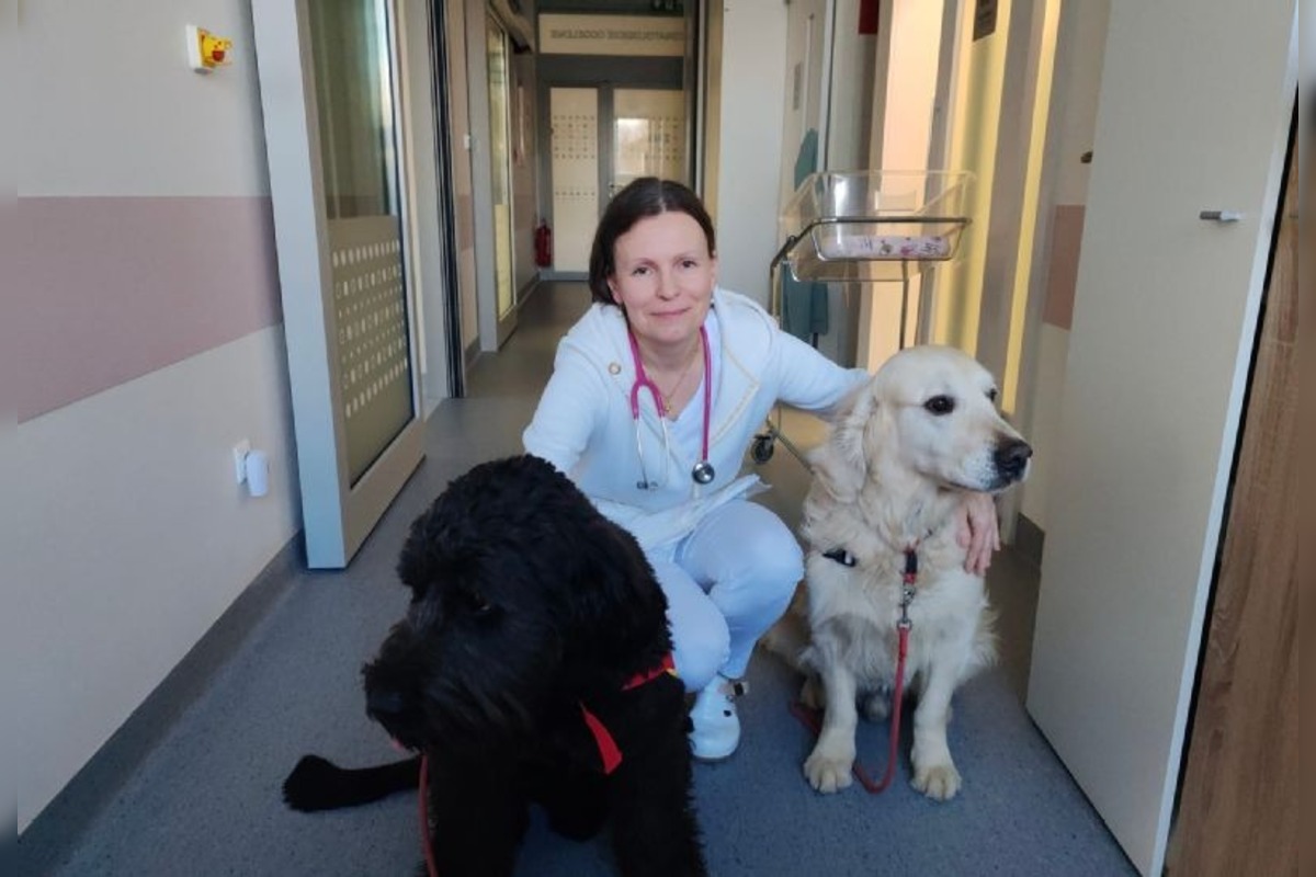 FOTO: Canisterapia vo zvolenskej nemocnici, foto 4