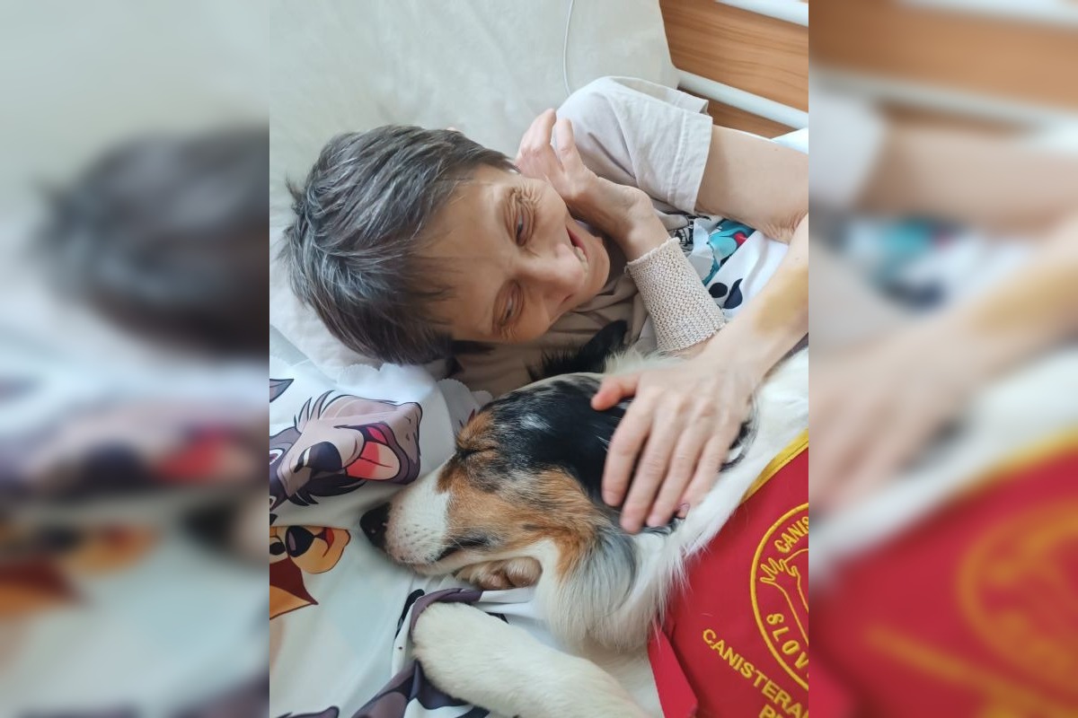 FOTO: Canisterapia vo zvolenskej nemocnici, foto 3