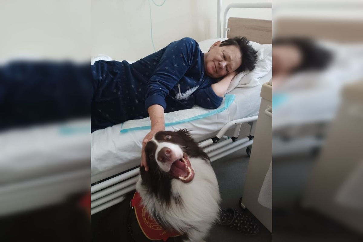 FOTO: Canisterapia vo zvolenskej nemocnici, foto 2