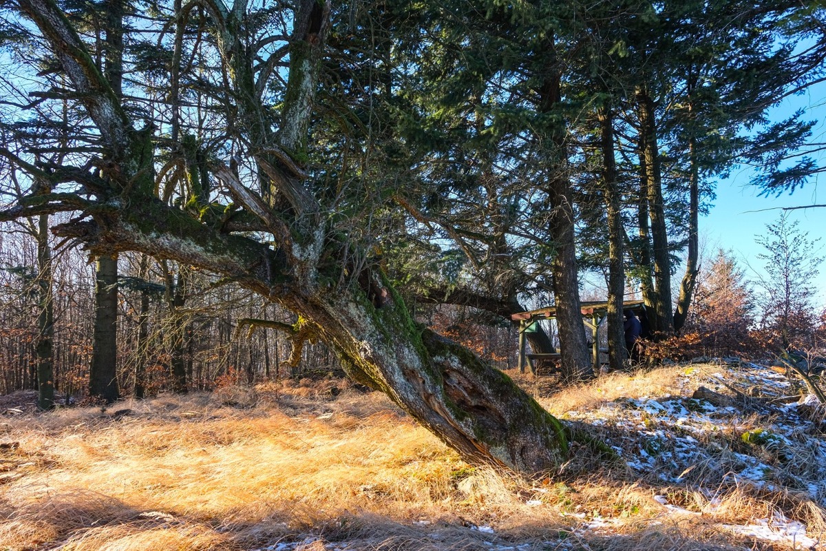 FOTO: Turistika na vrch Peklo, foto 7