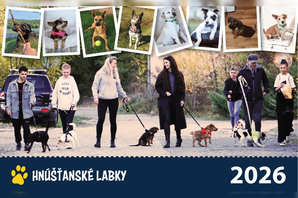 FOTO: Útulok si pripravil kalendár na rok 2026, foto 1