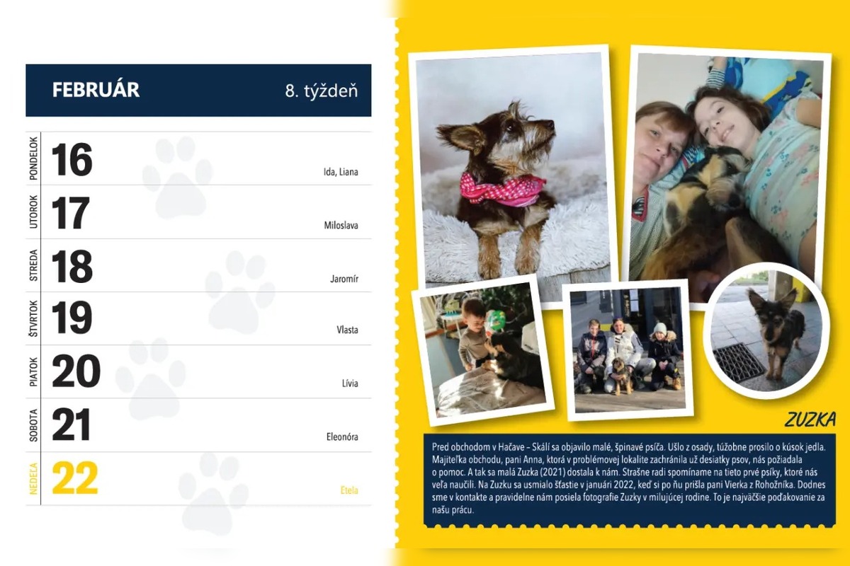 FOTO: Útulok si pripravil kalendár na rok 2026, foto 2
