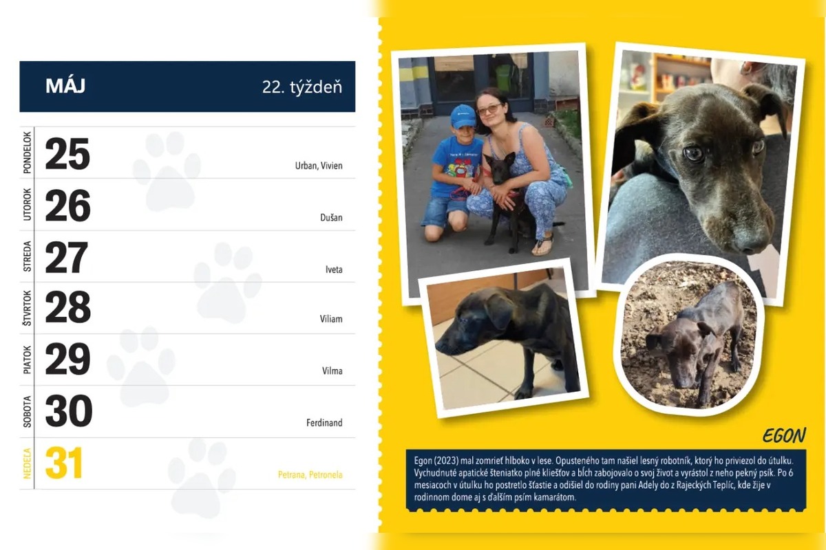 FOTO: Útulok si pripravil kalendár na rok 2026, foto 3
