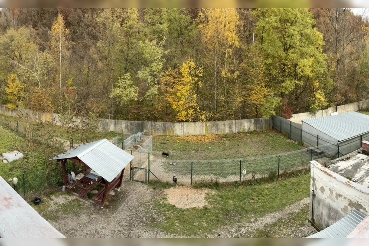 FOTO: Útulok si pripravil kalendár na rok 2026, foto 5