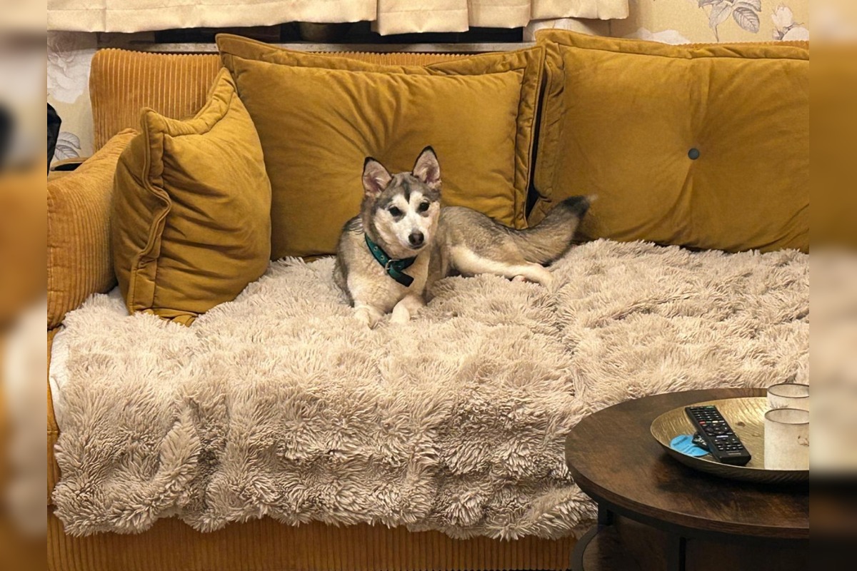 FOTO: Fenka Kikuš si našla novú rodinku v Nemecku, foto 2