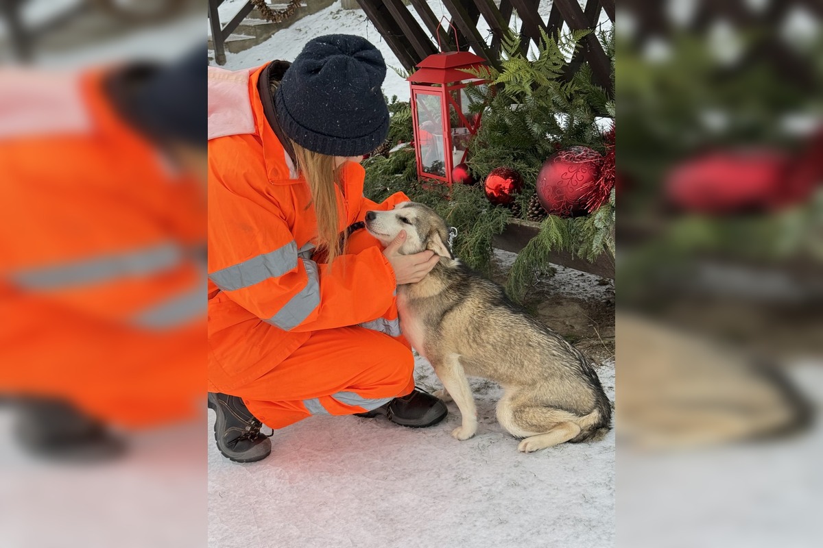 FOTO: Fenka Kikuš si našla novú rodinku v Nemecku, foto 3