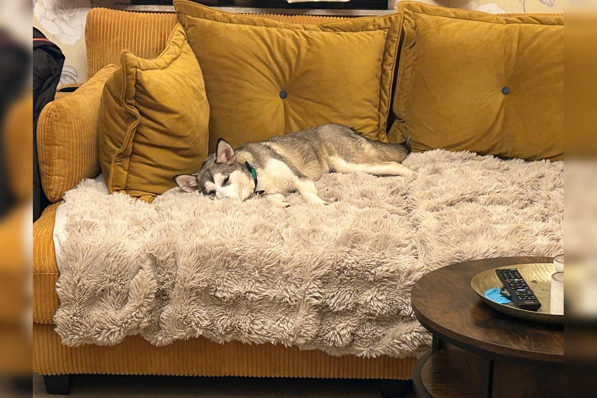 FOTO: Fenka Kikuš si našla novú rodinku v Nemecku, foto 4