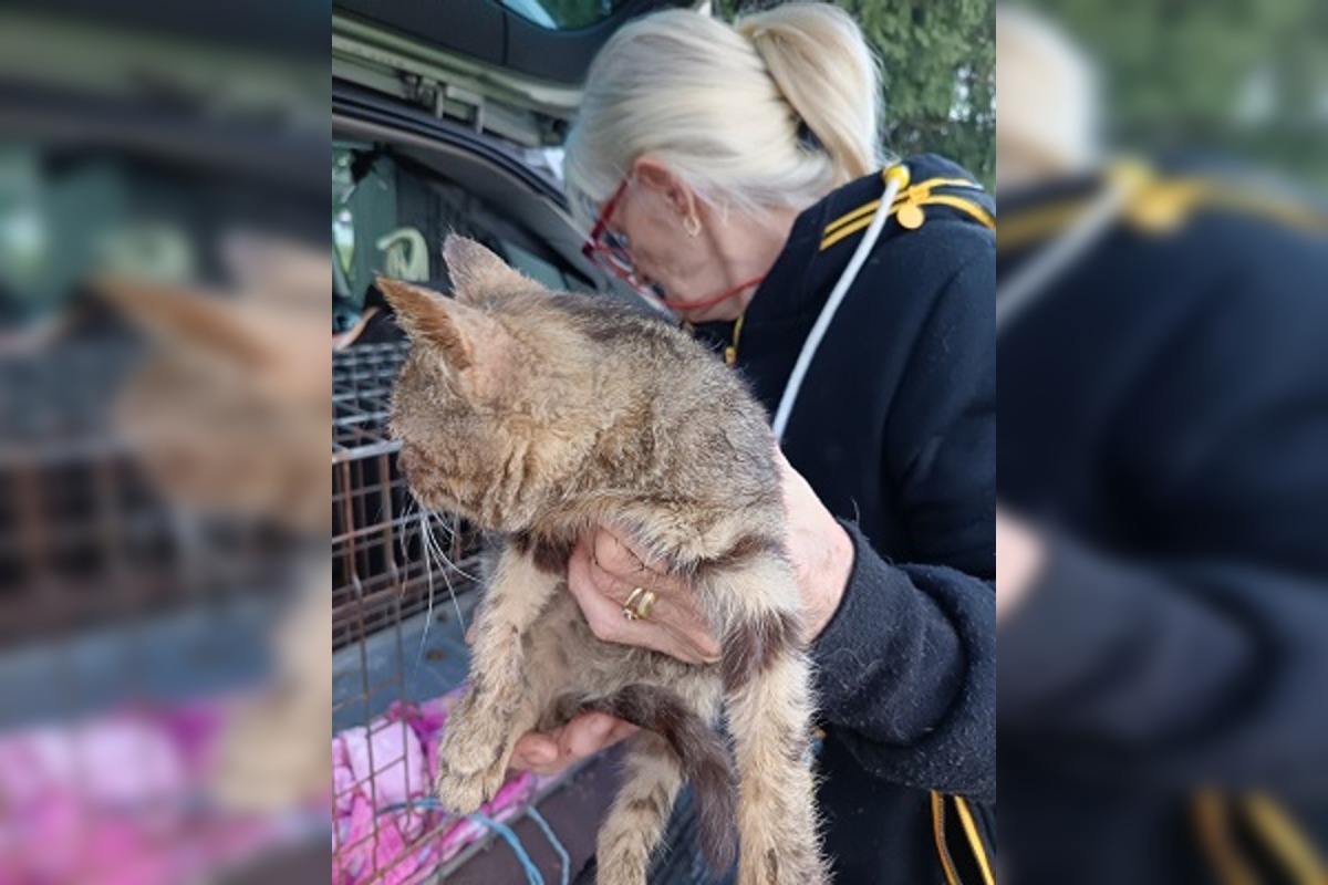 FOTO: Fenka Kikuš si našla novú rodinku v Nemecku, foto 6