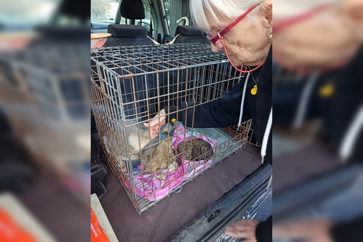 FOTO: Fenka Kikuš si našla novú rodinku v Nemecku, foto 7