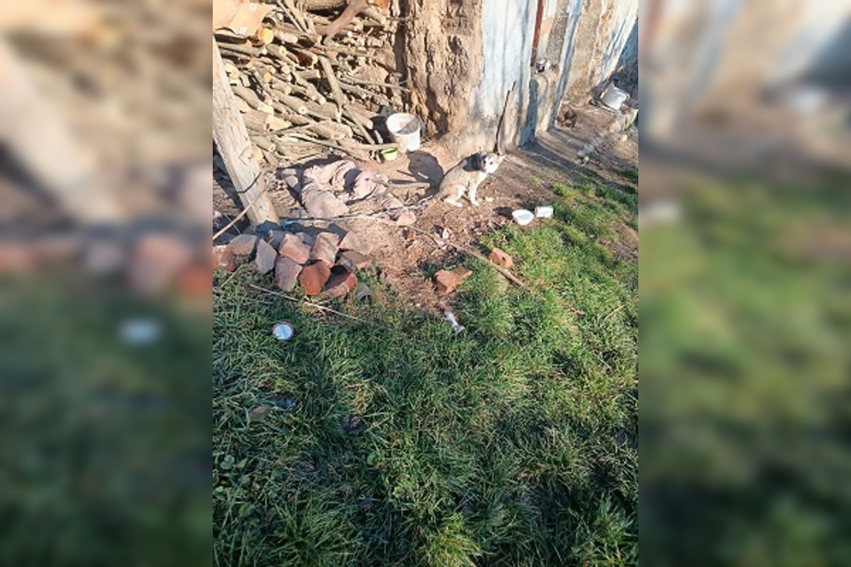 FOTO: Fenka Kikuš si našla novú rodinku v Nemecku, foto 8