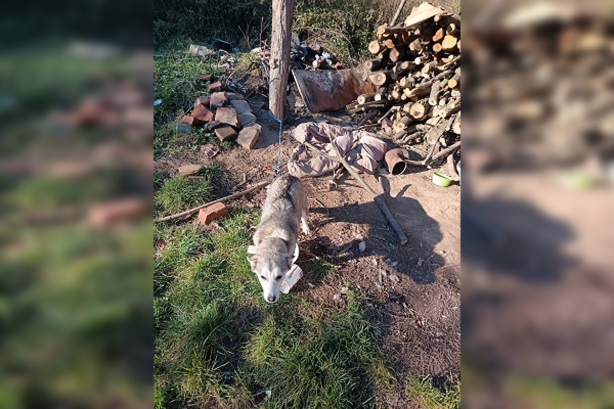 FOTO: Fenka Kikuš si našla novú rodinku v Nemecku, foto 9