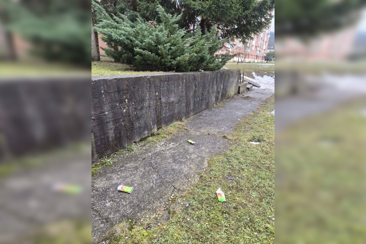 FOTO: Obyvatelia hľadajú riešenia pre neporiadok na sídliskách, foto 2
