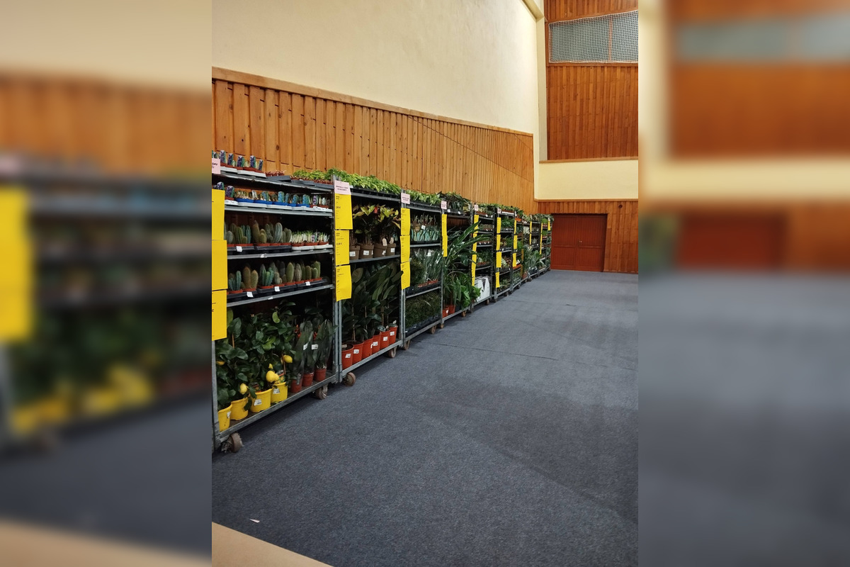 FOTO: Festival rastlín vo Zvolene, foto 3