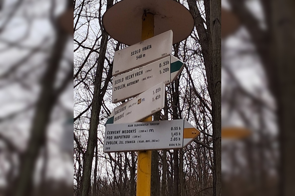 FOTO: Stav lesných chodníkov v okolí Zvolena, foto 1