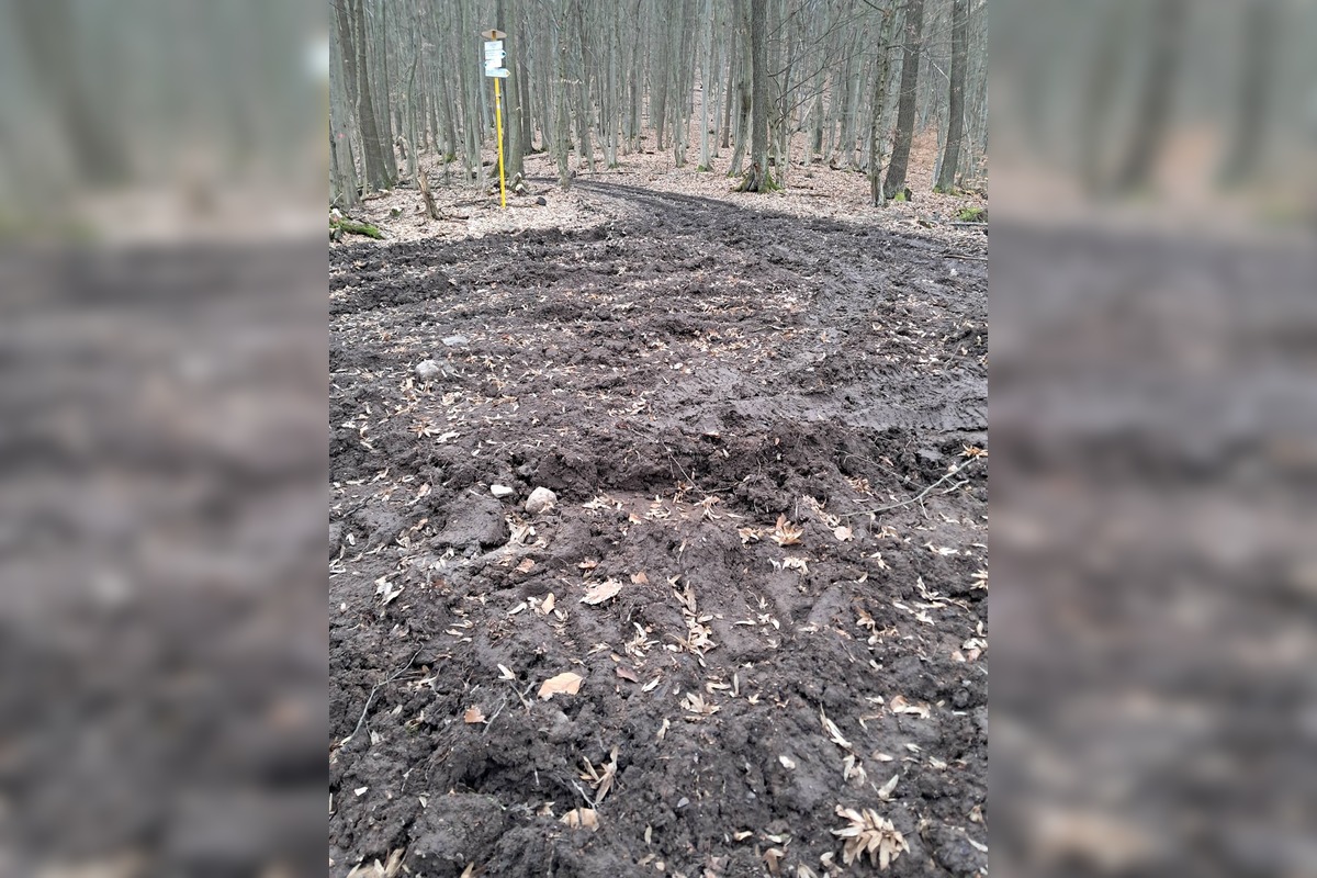 FOTO: Stav lesných chodníkov v okolí Zvolena, foto 2