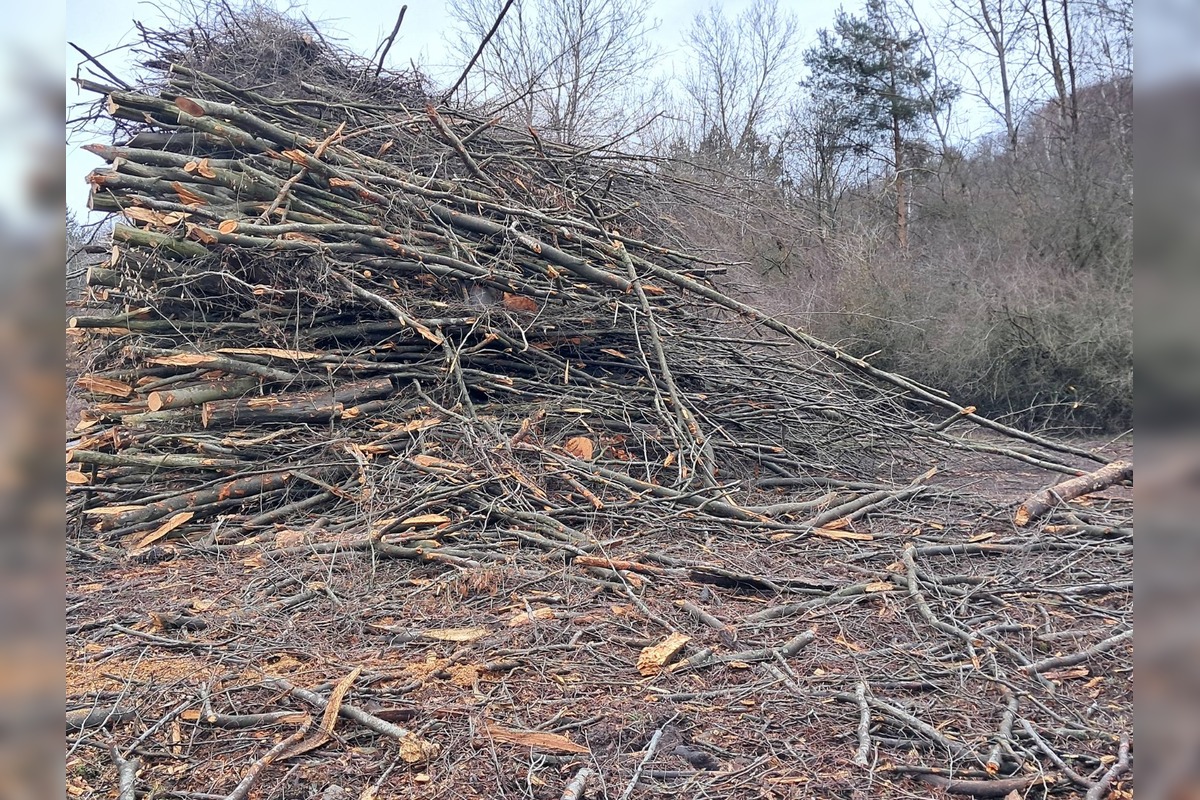 FOTO: Stav lesných chodníkov v okolí Zvolena, foto 3