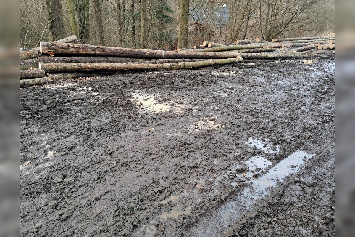 FOTO: Stav lesných chodníkov v okolí Zvolena, foto 4