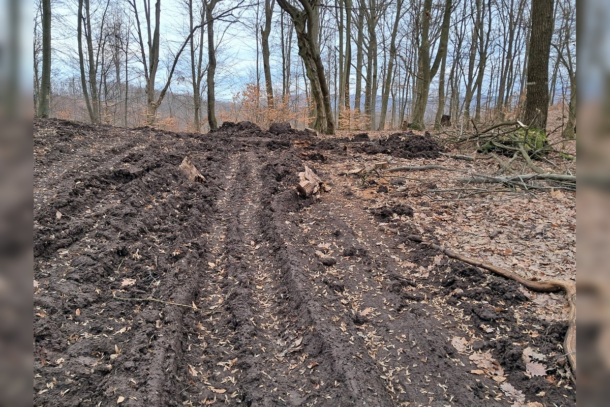 FOTO: Stav lesných chodníkov v okolí Zvolena, foto 5