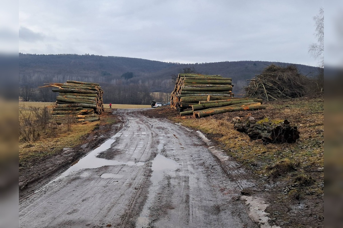 FOTO: Stav lesných chodníkov v okolí Zvolena, foto 6